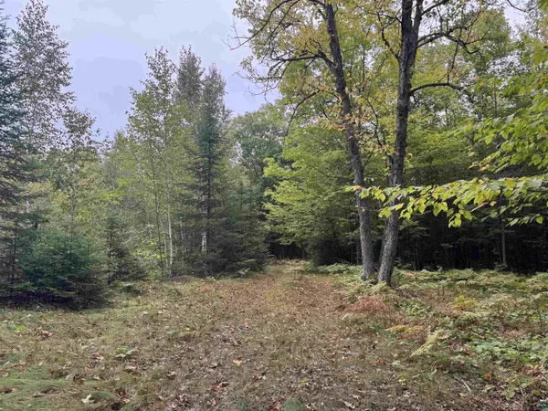 xxx S Dump Rd, Maple, WI 54854