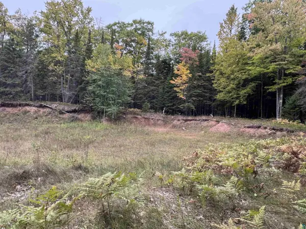 xxx S Dump Rd, Maple, WI 54854