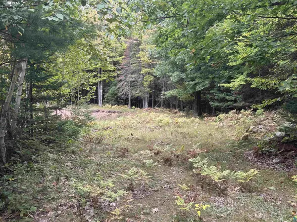 xxx S Dump Rd, Maple, WI 54854