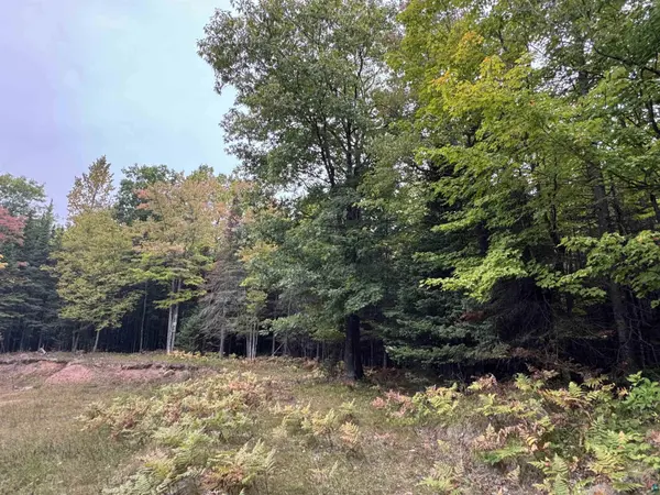 xxx S Dump Rd, Maple, WI 54854