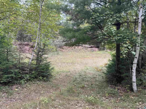 xxx S Dump Rd, Maple, WI 54854