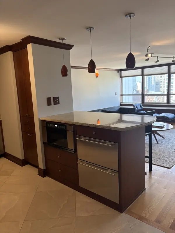 201 E CHESTNUT ST #22C, Chicago, IL 60611