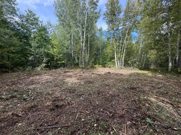 TBD (A) Sand Creek RD, Bruno, MN 55712