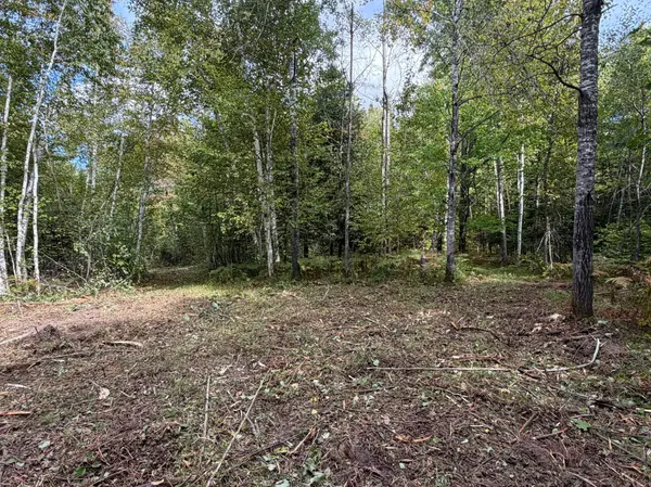 TBD (A) Sand Creek RD, Bruno, MN 55712