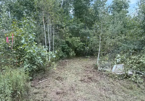 TBD (A) Sand Creek RD, Bruno, MN 55712