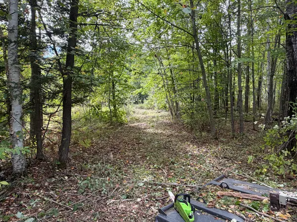 TBD (A) Sand Creek RD, Bruno, MN 55712