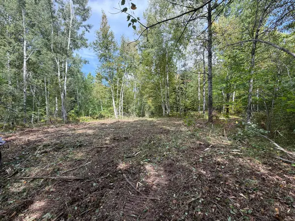 TBD (A) Sand Creek RD, Bruno, MN 55712