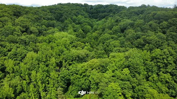 4998 Tranham Rd, Whites Creek, TN 37189