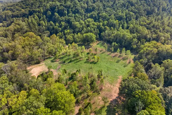0 Peaceful Valley Ln, Monterey, TN 38574
