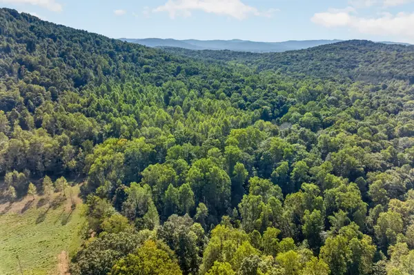 0 Peaceful Valley Ln, Monterey, TN 38574