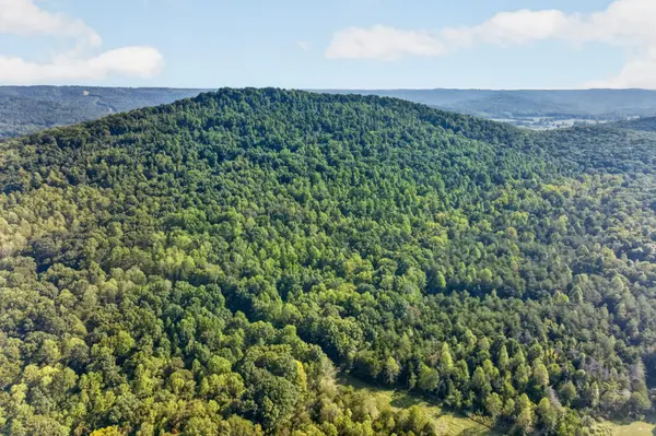 0 Peaceful Valley Ln, Monterey, TN 38574