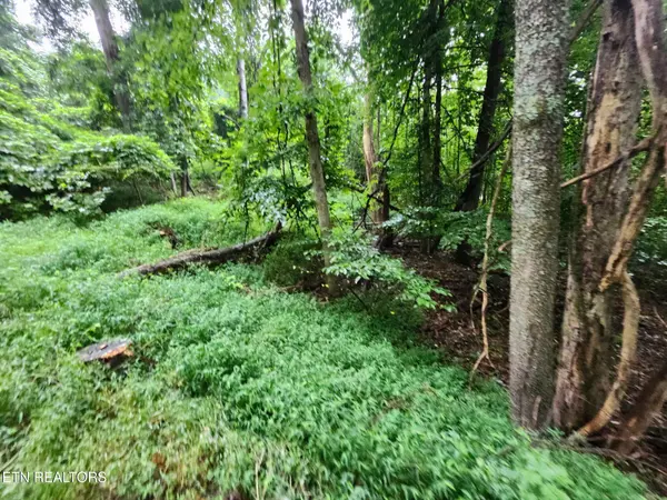 0 Vann Drive, Harriman, TN 37748