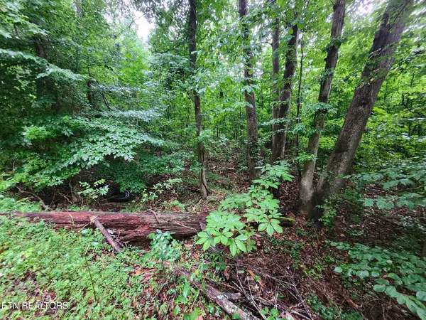 0 Vann Drive, Harriman, TN 37748