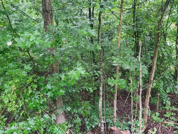 0 Vann Drive, Harriman, TN 37748