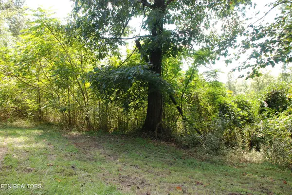 2222320 Vann Drive, Harriman, TN 37748