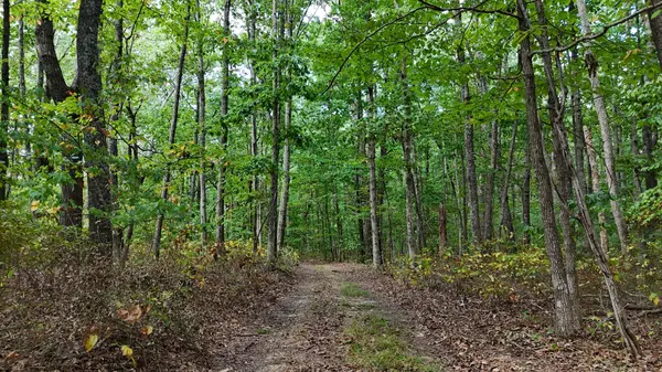 0 Deer Run Rd, Altamont, TN 37301