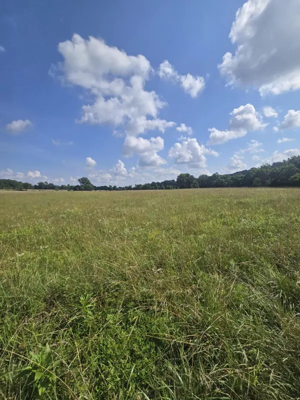 0000 Reaves RD, Hartville, MO 65711