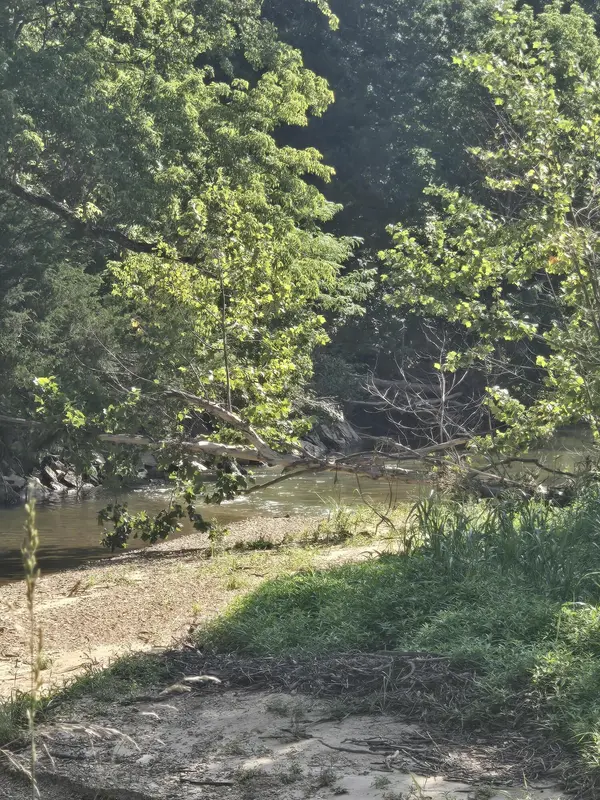 0000 Reaves RD, Mountain Grove, MO 65711