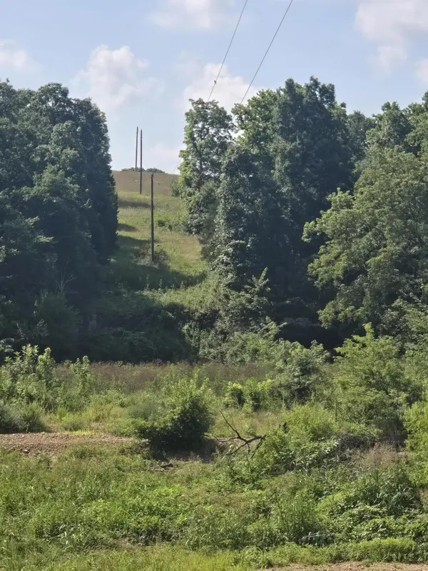 0000 Reaves RD, Mountain Grove, MO 65711