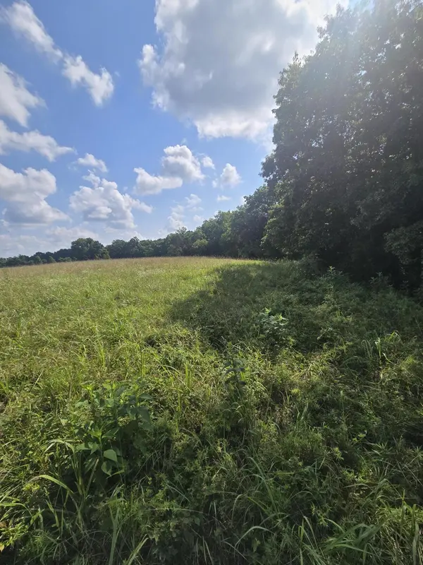 0000 Reaves RD, Hartville, MO 65711