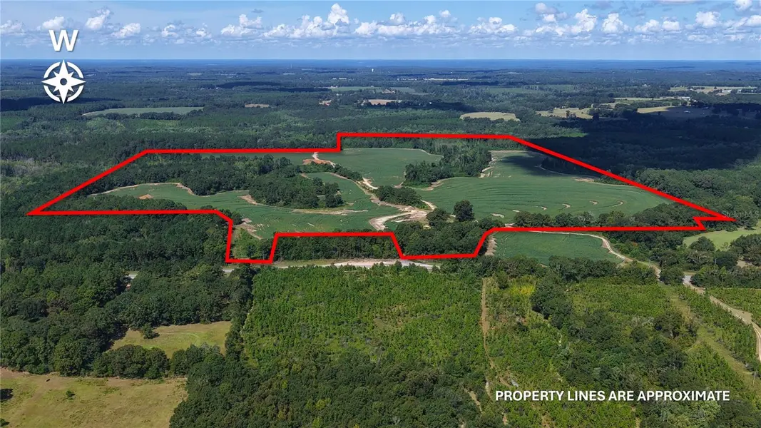 31027 US HIGHWAY 331, Opp, AL 36467