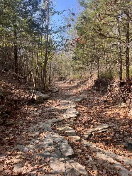 000 Moore RD, Mountain Grove, MO 65711