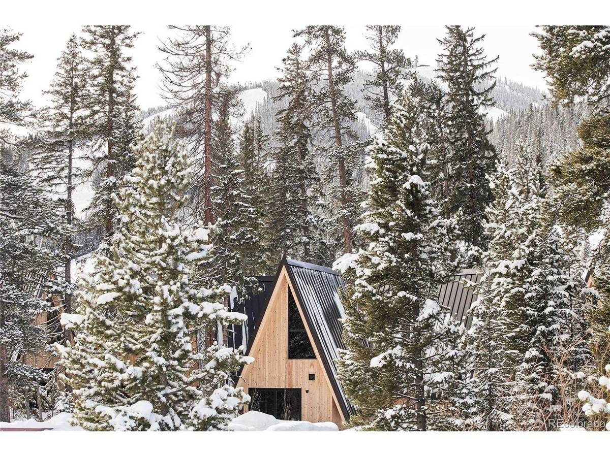 1008 Winter Park Drive #28, Winter Park, CO 80482