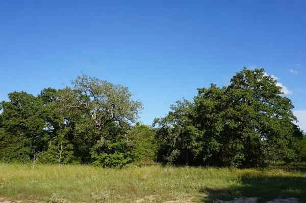 12641 Private Road 5104, Athens, TX 75751