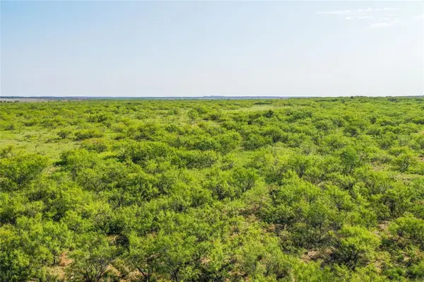 262.71 Acres FM 1191, Jacksboro, TX 76458