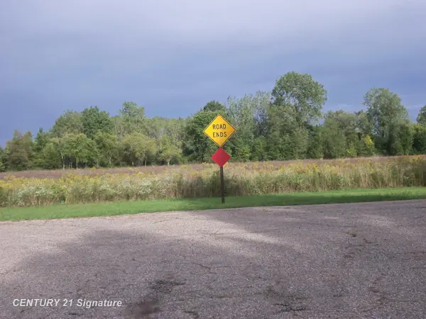 V/L W Coldwater RD, Mt Morris Twp, MI 48433
