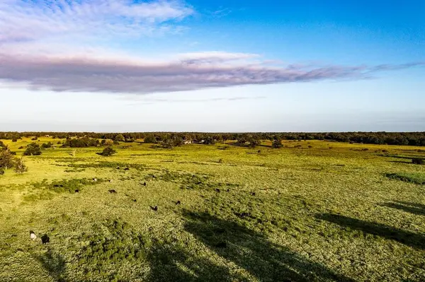 3087 County Road 320, Lexington, TX 78947