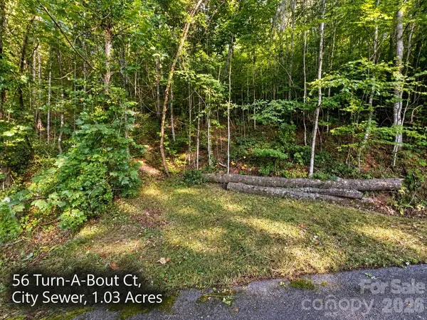 250 & 300 Turn-A-Bout CT, Waynesville, NC 28785