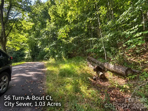 250 & 300 Turn-A-Bout CT, Waynesville, NC 28785