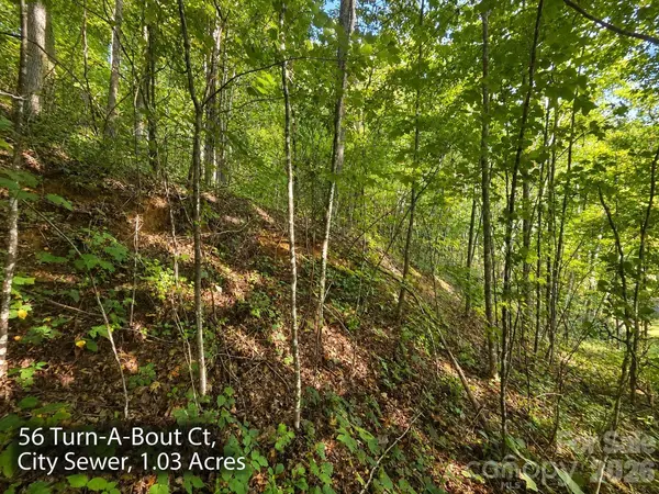 250 & 300 Turn-A-Bout CT, Waynesville, NC 28785
