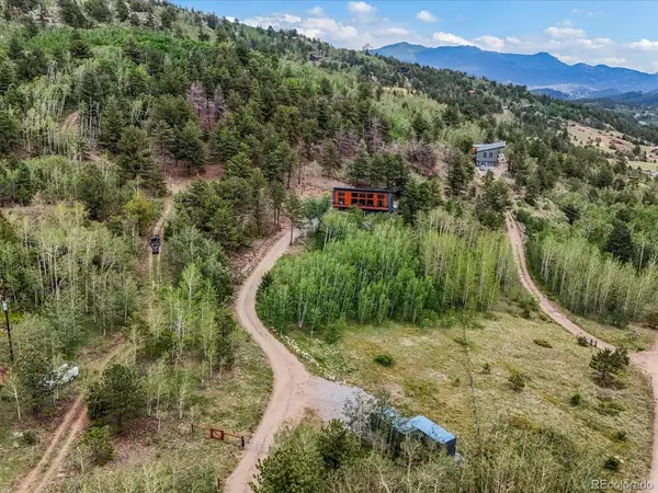 682 Alps Hill, Central City, CO 80427