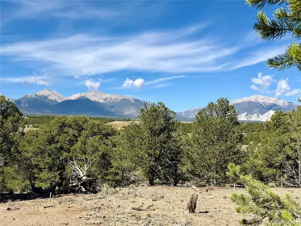 10365 Rawhide Creek, Nathrop, CO 81236