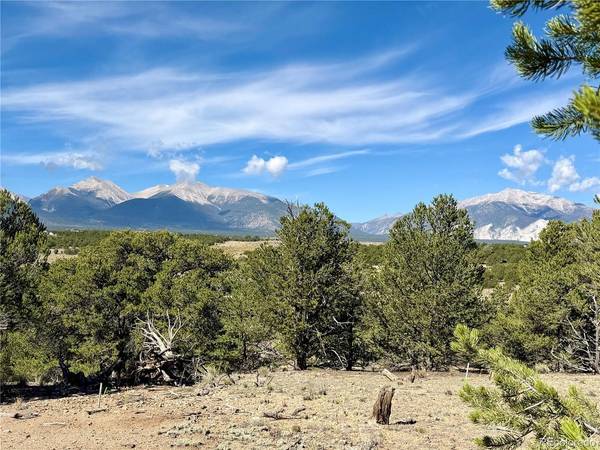 10365 Rawhide Creek, Nathrop, CO 81236