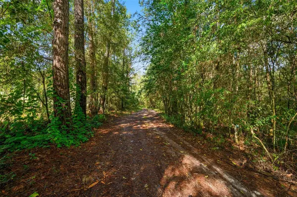 3426 SE 185TH AVE, Micanopy, FL 32667