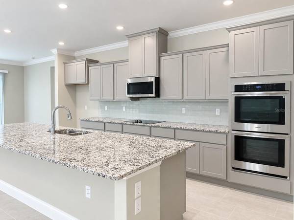 930 BUCKEYE DR, Lady Lake, FL 32159