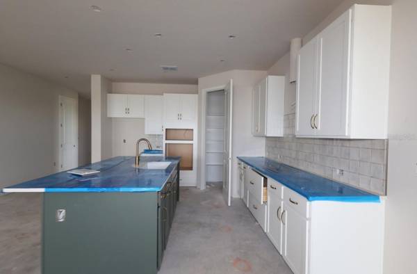 12828 SALTY DOG XING, Palmetto, FL, 34221 photo 8