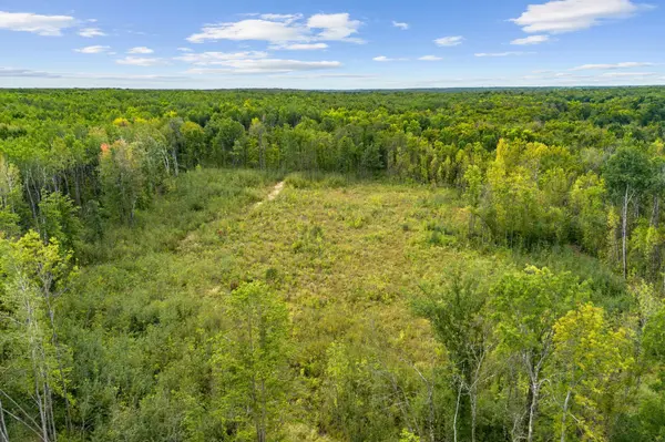 18965 124th, Mc Grath, MN 56350