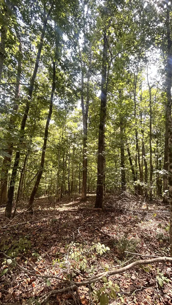 0 Hazel, Centerville, TN 37033