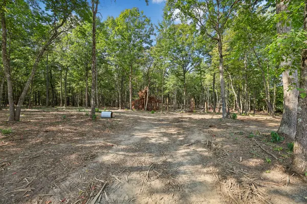 0 Preacher Spry Road, Bradyville, TN 37026