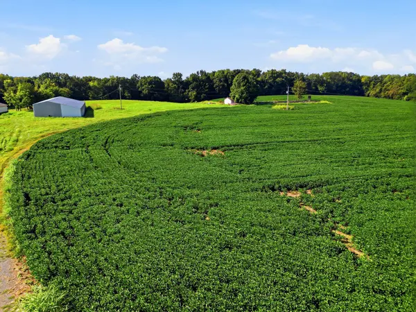 8701 Highway 49 #E, Orlinda, TN 37141