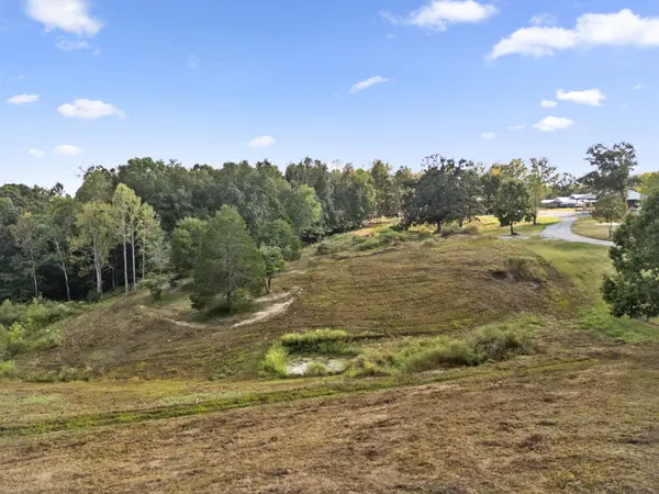 0 Vanleer Highway, Charlotte, TN 37036