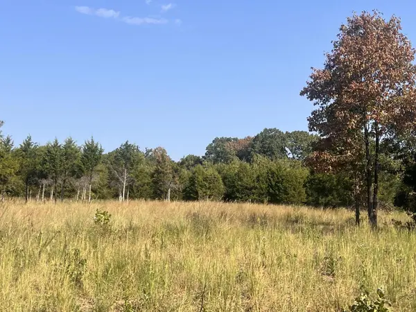 000 Moore RD, Mountain Grove, MO 65711