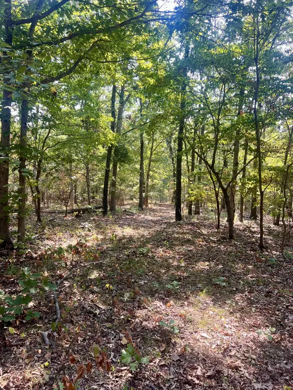 000 Moore RD, Mountain Grove, MO 65711
