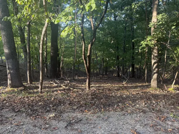 000 Lake RD, Sunrise Beach, MO 65079