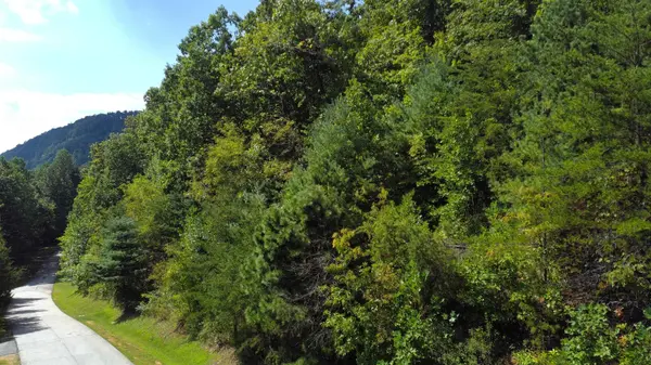 275 Kincaid PL, Mill Spring, NC 28756