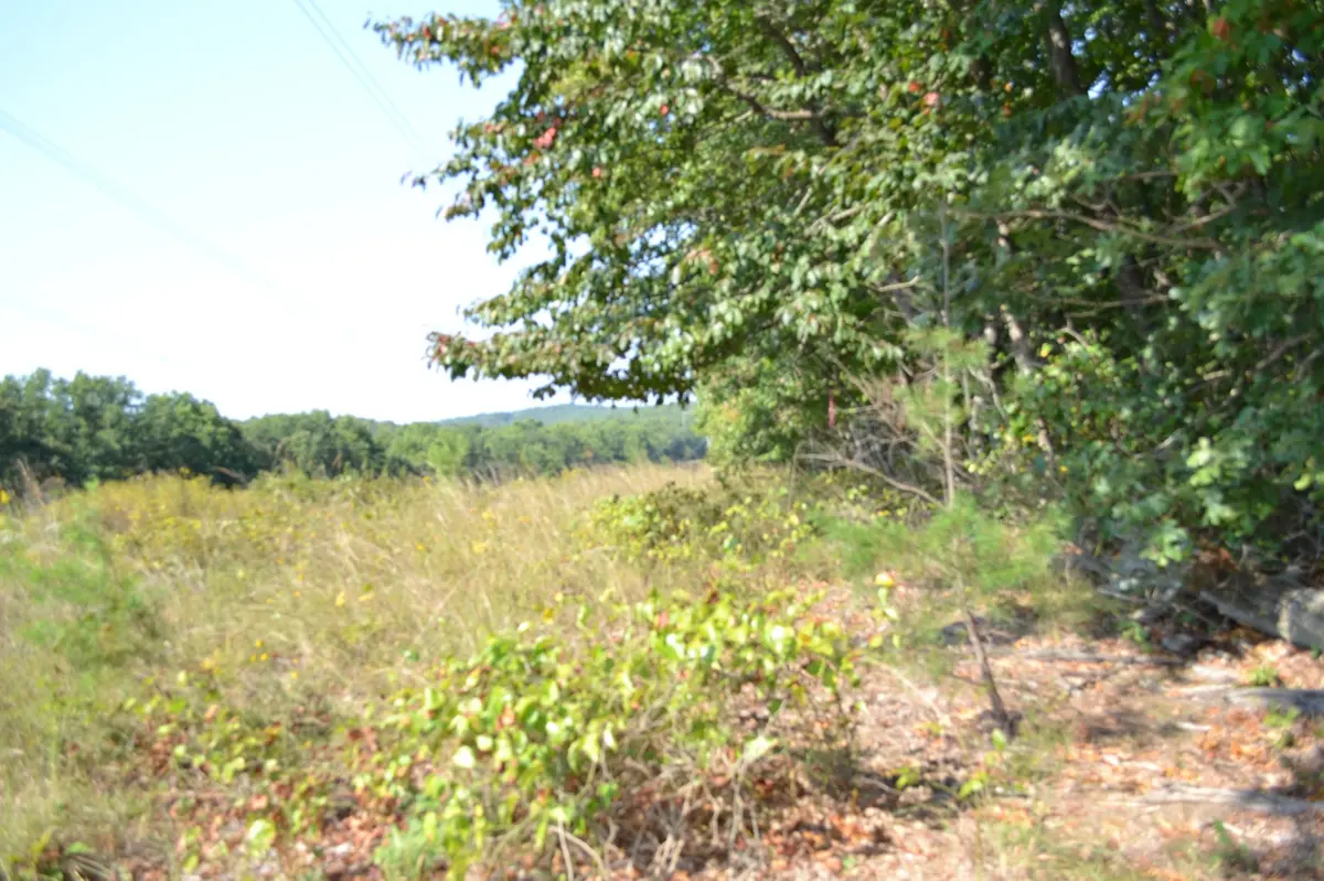 2156 Street Place Loop, Monterey, TN 38574